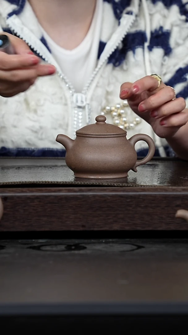 【闪购商品】紫砂茶壶鲨皮青潘壶