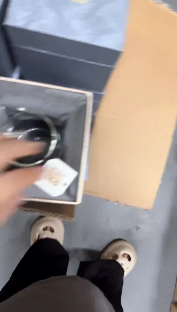 松鼠公杯粉凤尾
