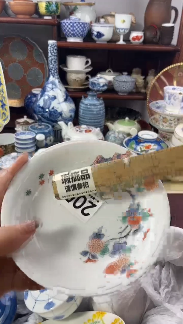 【闪购商品】瓷片205..............