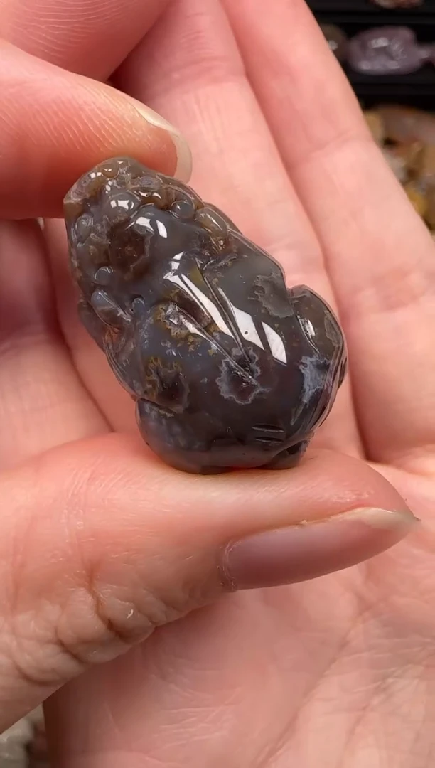 硅化珊瑚（珊瑚玉）未镶嵌颈饰508