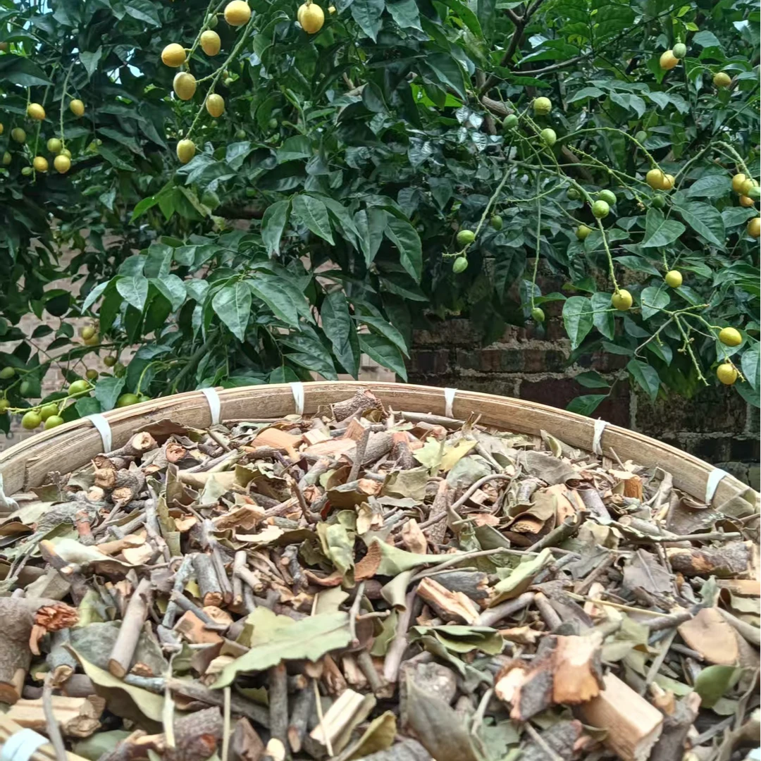 农户自采天然黄皮寄生茶干品