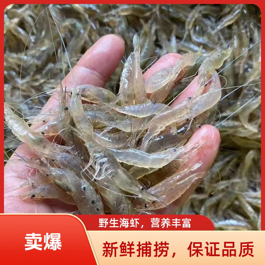 福建小海虾五须虾鲜活急冻锁鲜可油炸顺丰包邮250克一盒
