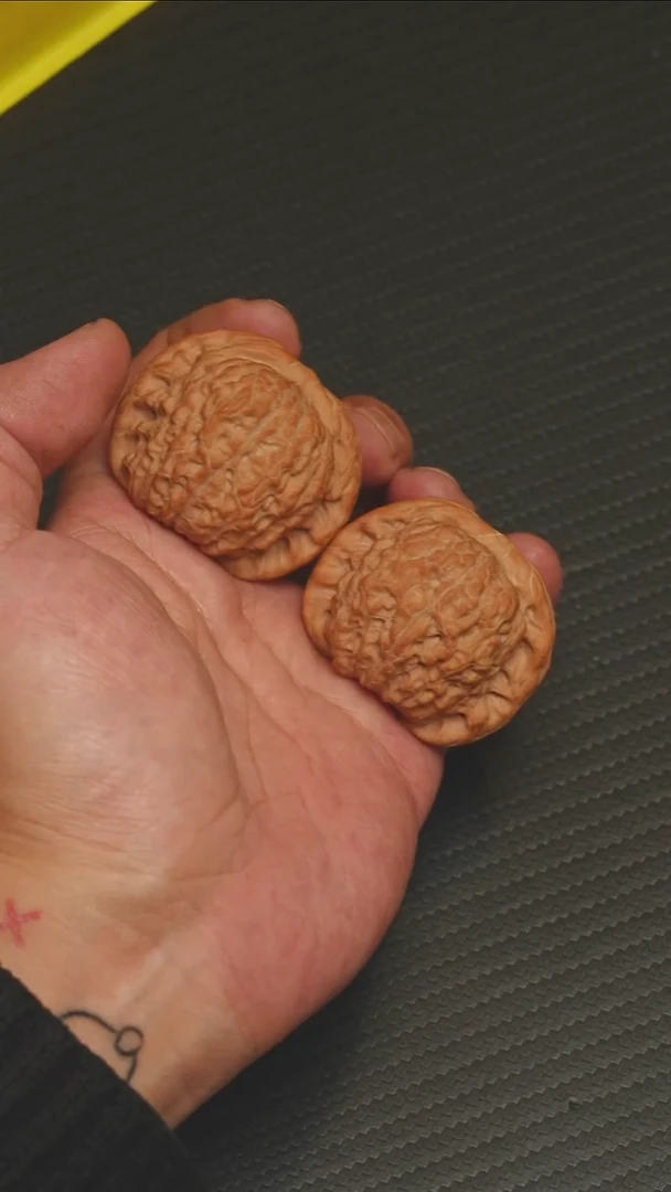 2025核桃季精品血麒麟43.5