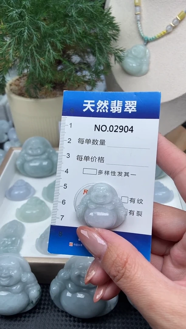 颈饰未镶嵌翡翠纯天然A货翡翠2904