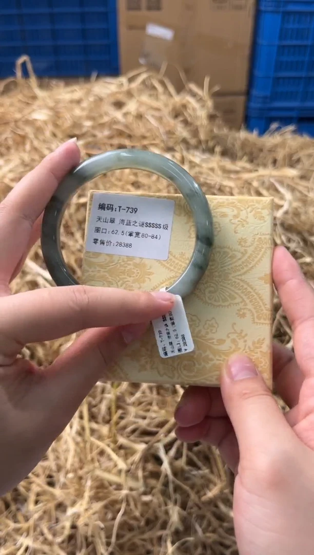 未镶嵌手镯石英质玉T-739