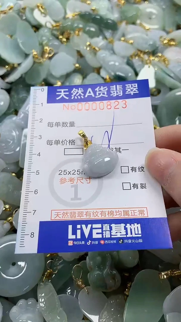 颈饰未镶嵌翡翠纯天然a货翡翠