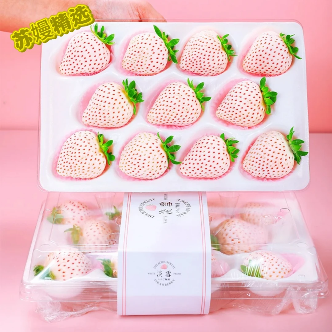 香甜奶油白草莓（淡雪）250g 辽宁丹东淡雪草莓