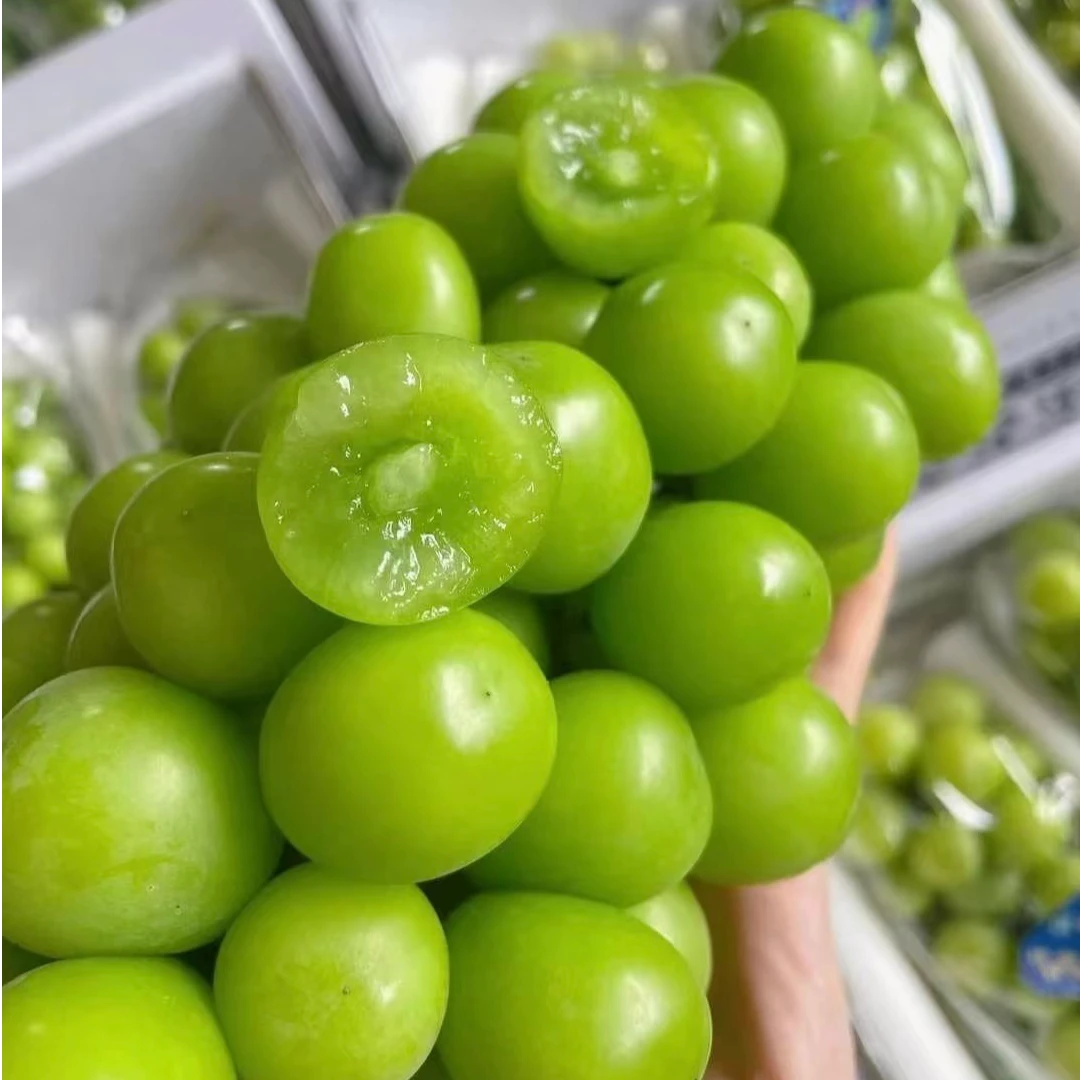 【东胜同城送】阳光玫瑰一串装