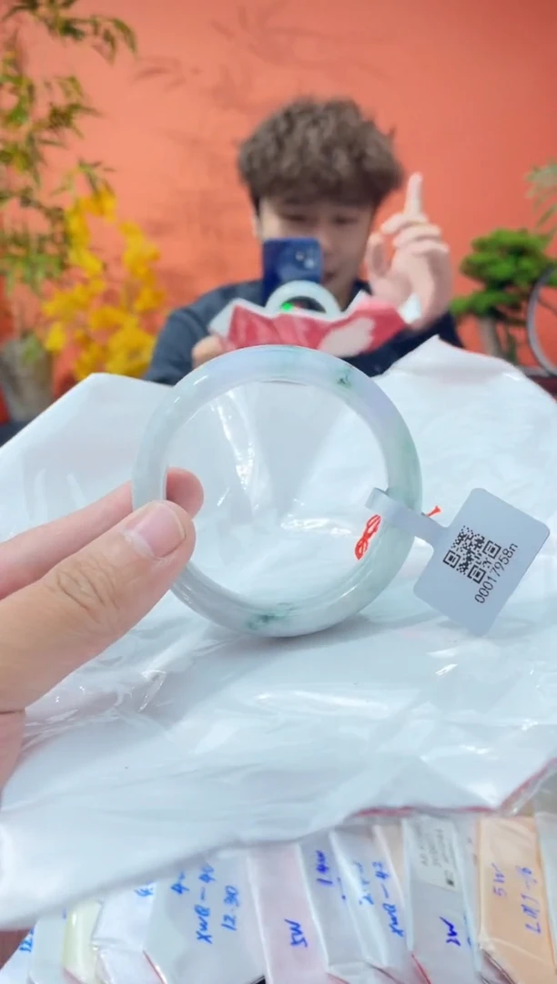 未镶嵌手镯翡翠2