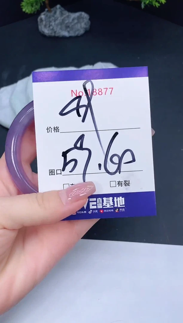未镶嵌手镯翡翠18877