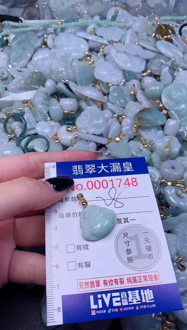 颈饰未镶嵌翡翠1749