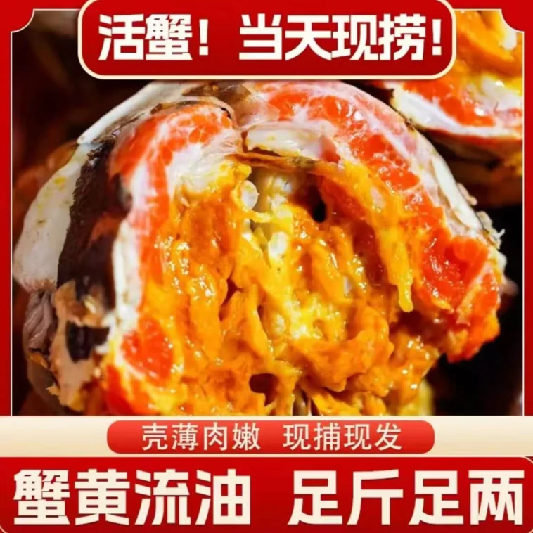【活蟹】江苏精品大闸蟹全母蟹3.0-2.7两 10只 包邮到家