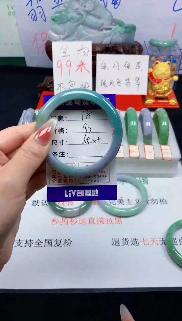 未镶嵌手镯翡翠15