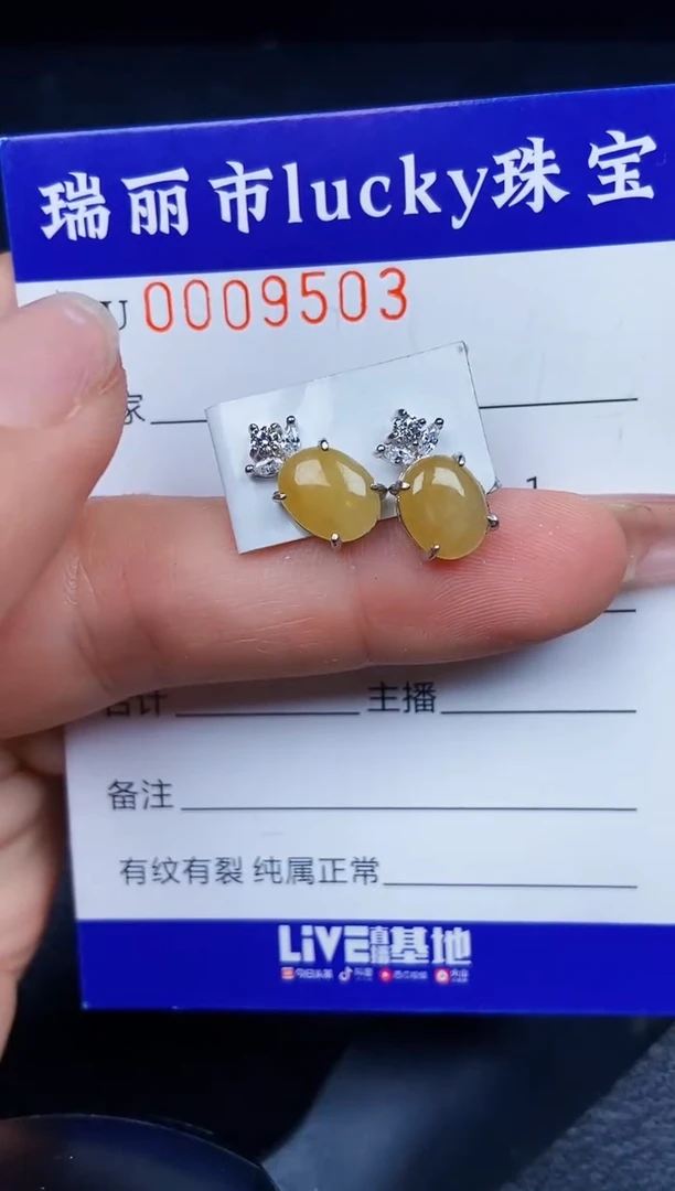翡翠银S925镶嵌颈饰9503