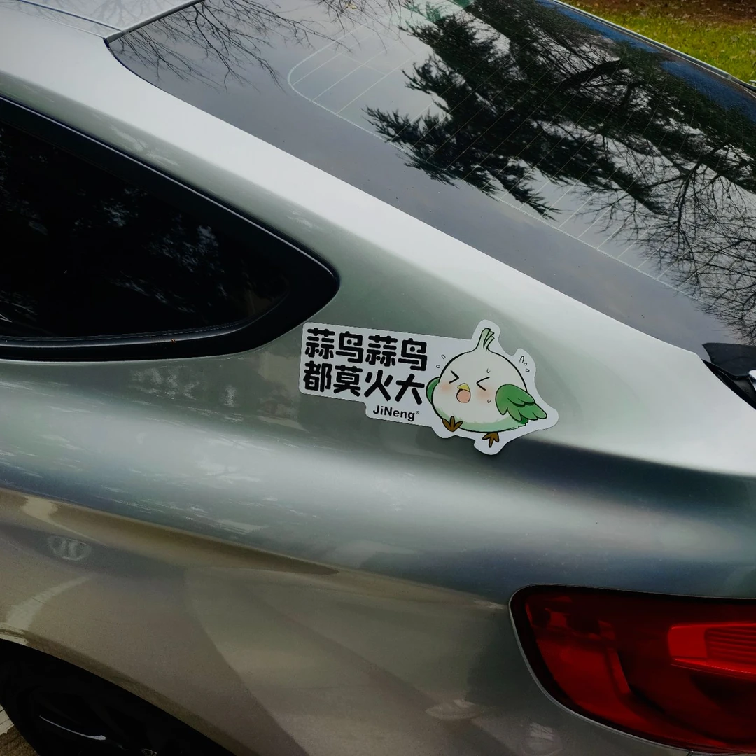 武汉网红蒜鸟文创原创定制磁吸车贴