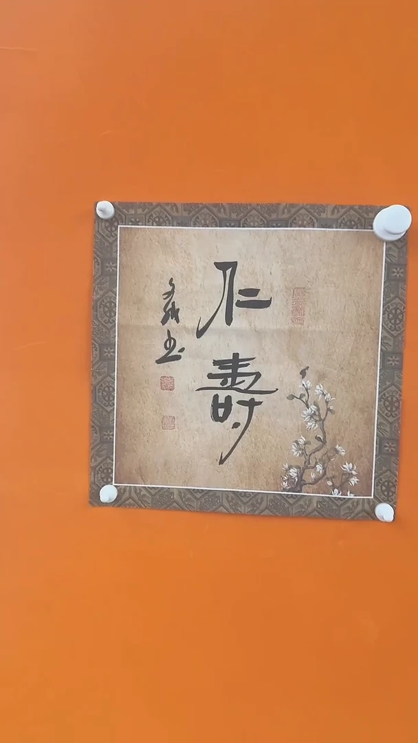 【闪购商品】书法赵文斌仁寿书法作品