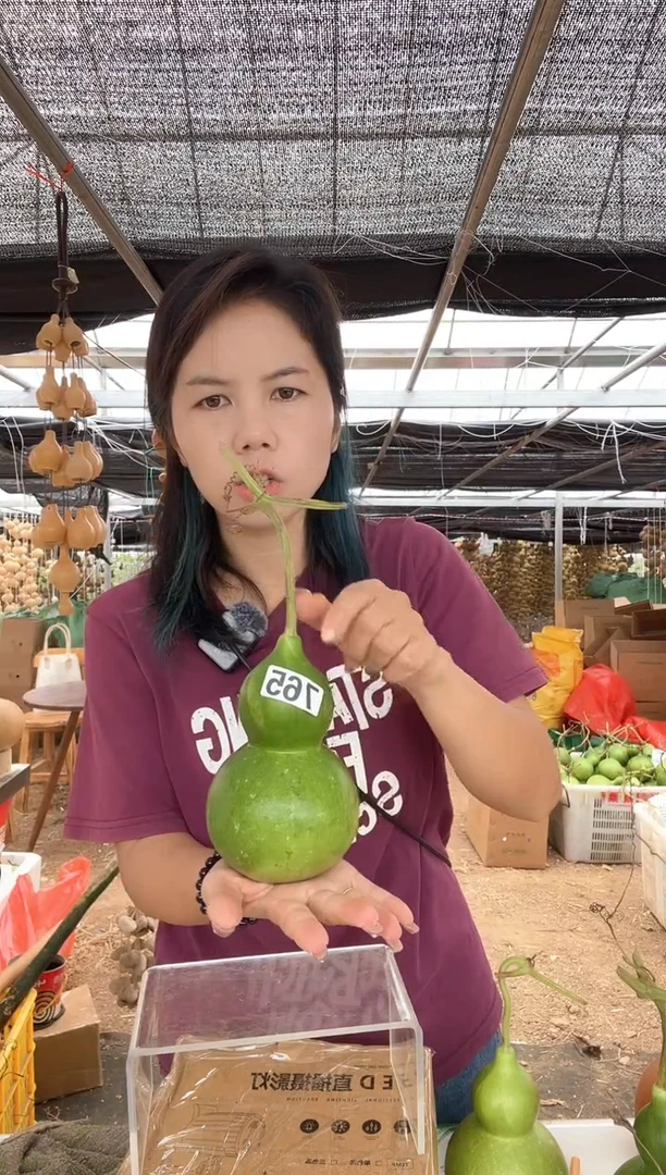 765天然葫芦摆件 一物一拍龙头不保售后