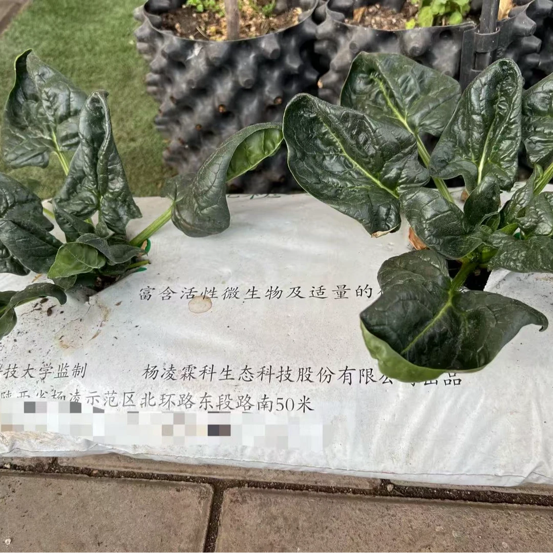 有机肥料通用性种植瓜果蔬菜枕头4.5KG