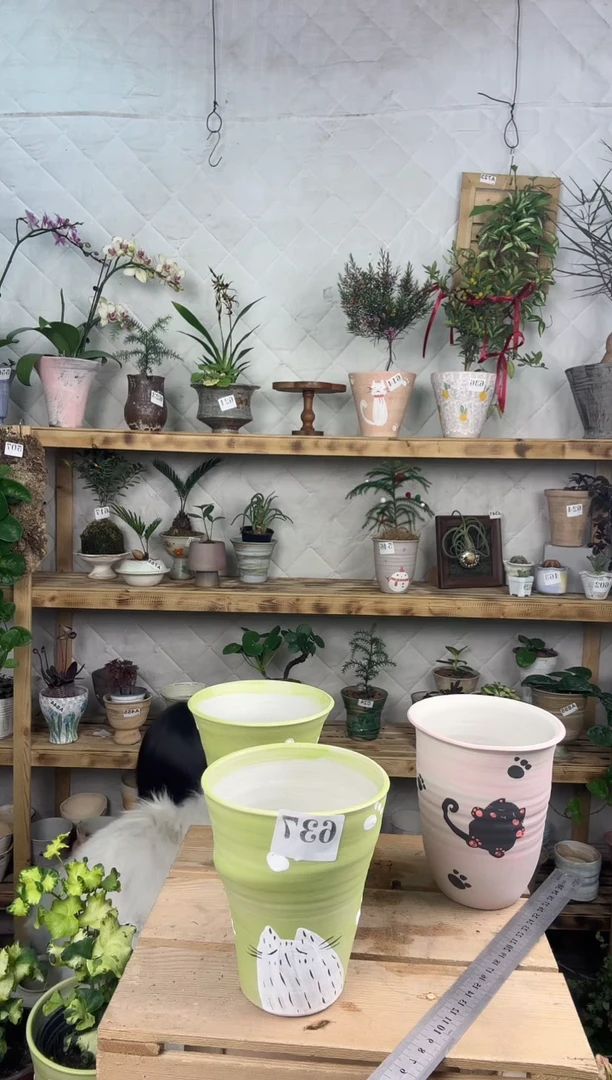 无花朵大**相编号   638   景德镇手绘花盆瑕疵