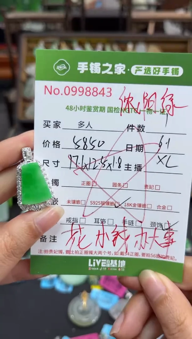 翡翠银S925镶嵌颈饰多人