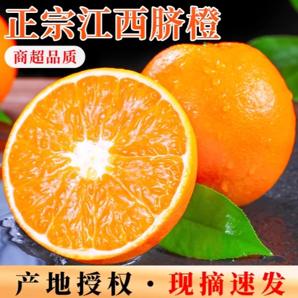 正宗赣南脐橙精品大果香甜橙子新鲜应季水果江西脐橙产地直发现摘
