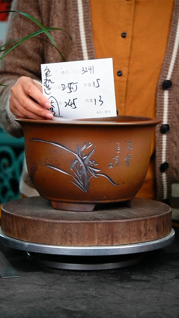 紫砂花盆花卉园艺3291