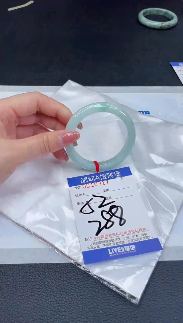 未镶嵌手镯翡翠我t1