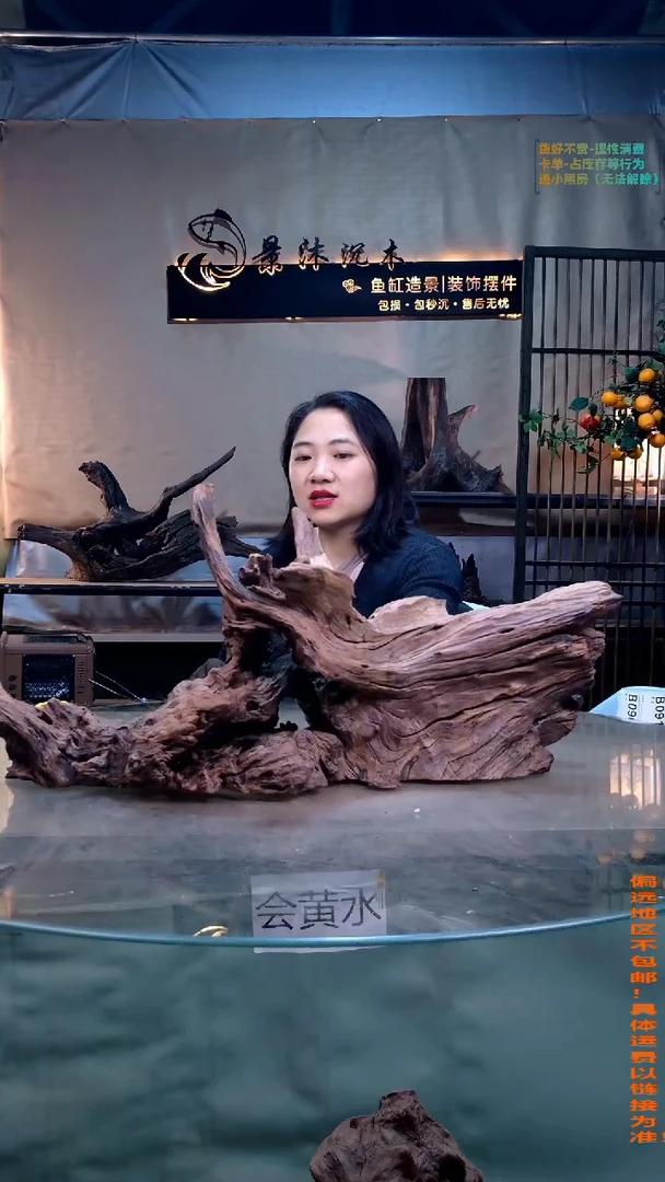 摆件景沐沉木B090 65-30-30