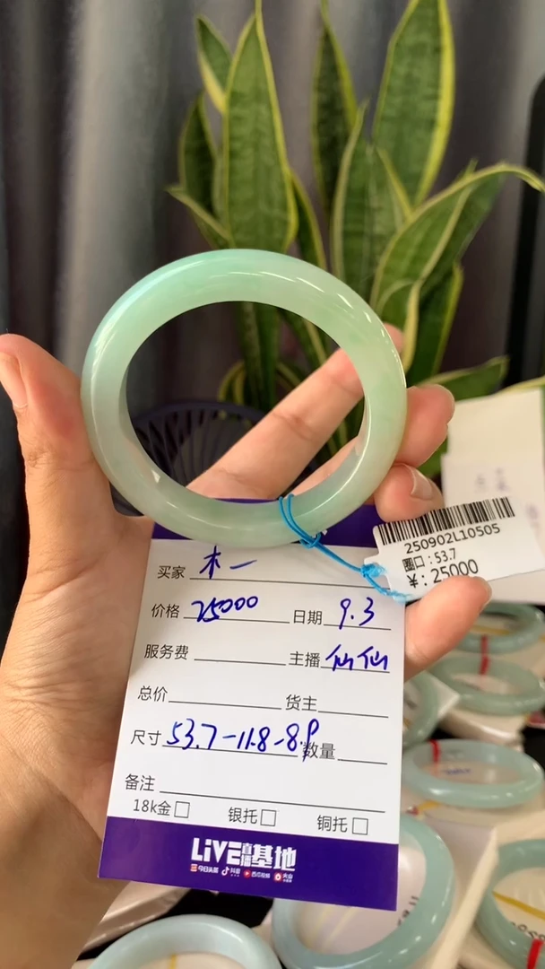 未镶嵌手镯翡翠木**木天然A货拍一发一