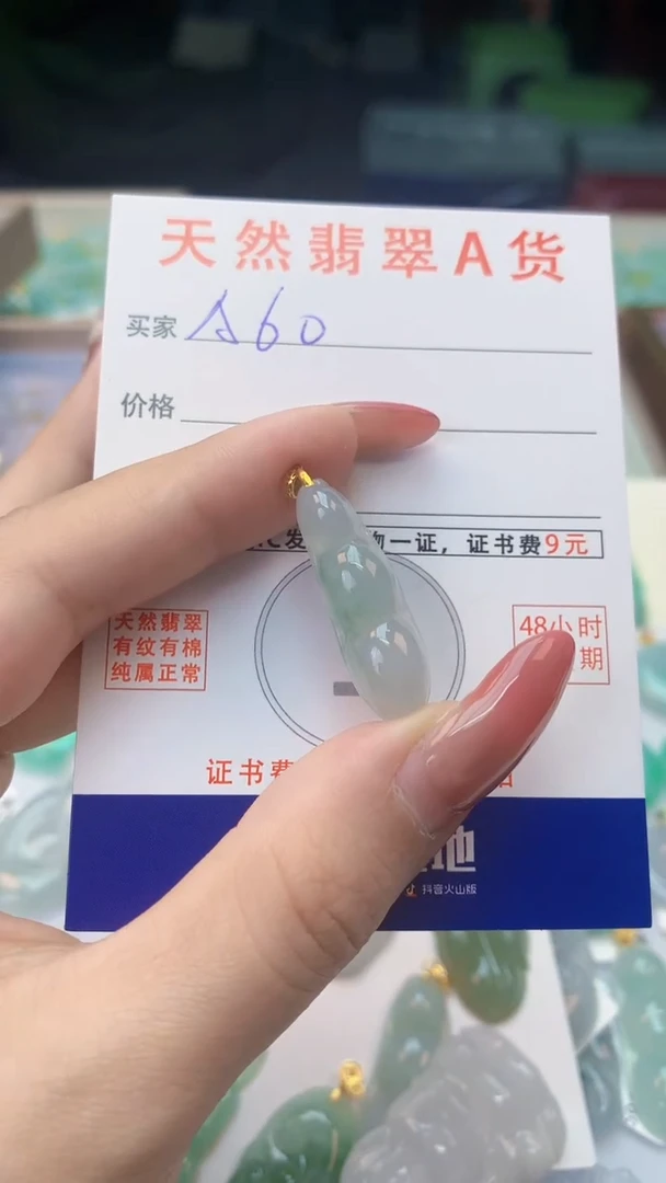 颈饰未镶嵌翡翠天然A货翡翠挂件