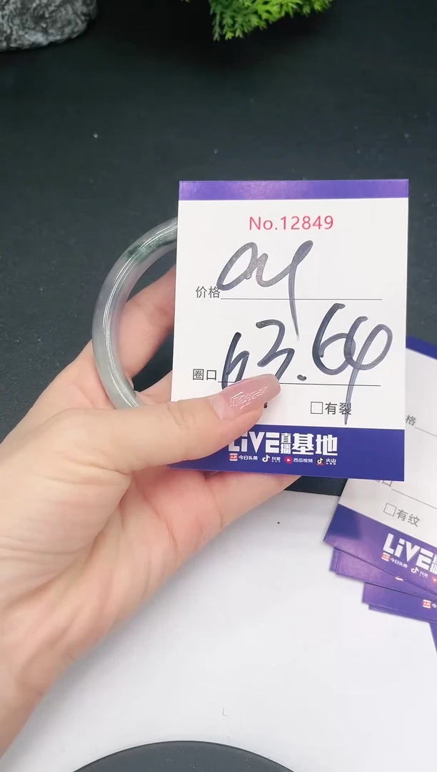 未镶嵌手镯翡翠12849