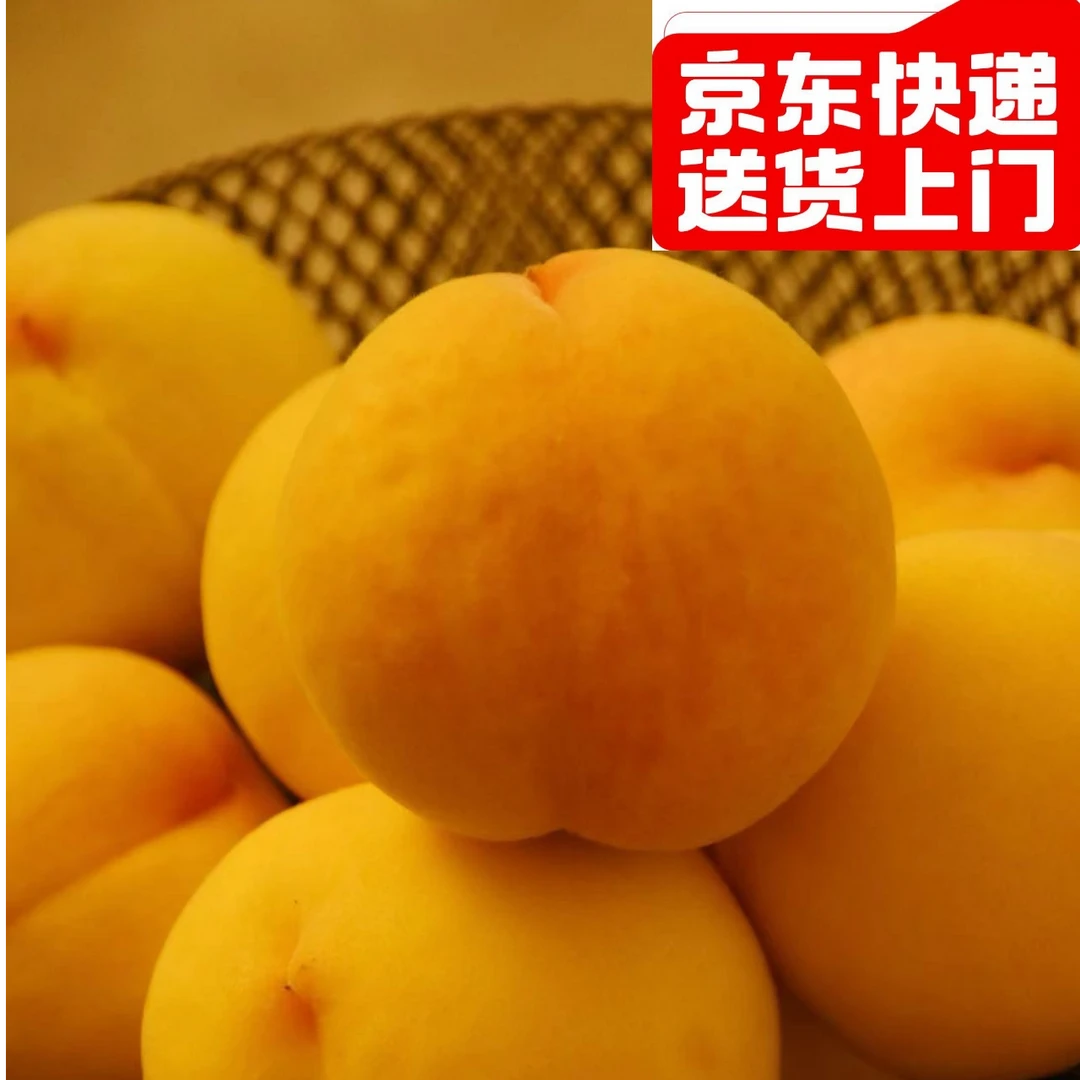 现摘黄金蜜桃应季桃子新鲜水果整箱包邮黄心