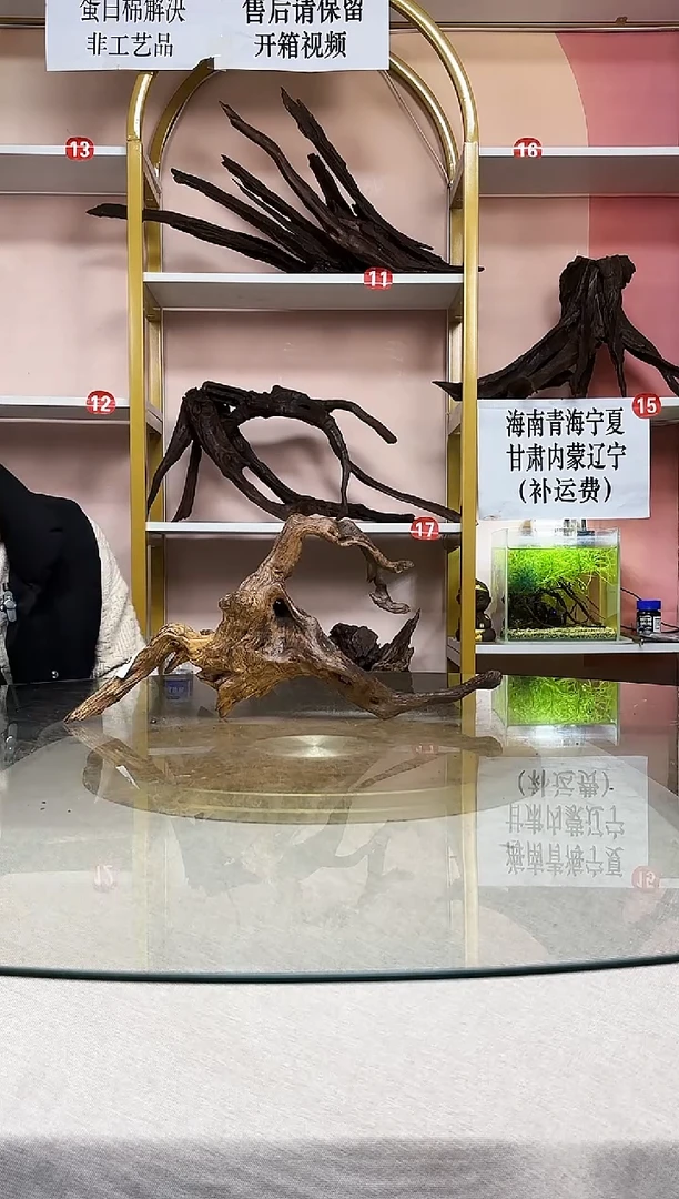 含****的紫柚木一物一拍A785