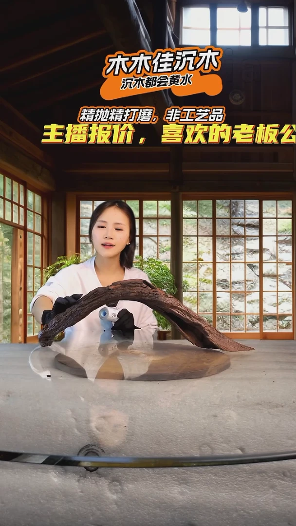 不**干木木佳鱼缸造景沉木-513