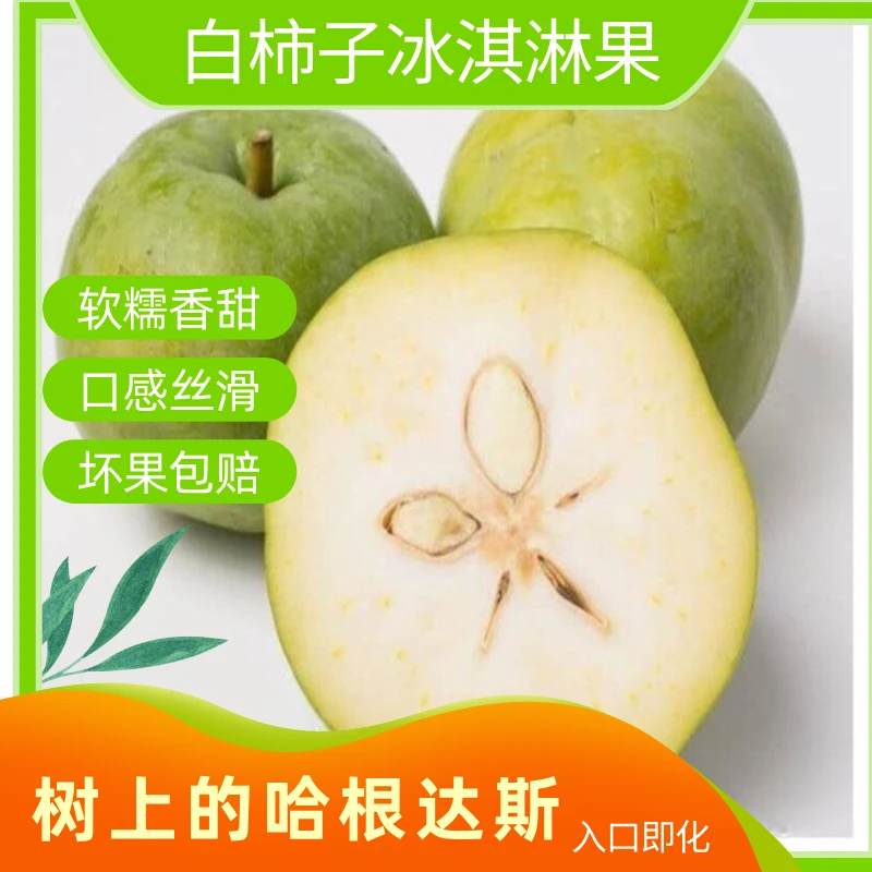 {冰淇淋果}顺丰包邮云南冰激凌果状元红新鲜采摘水果