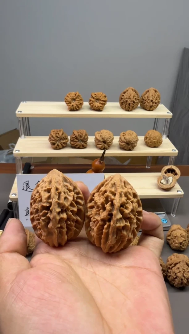 12.30  边38+ 高50 全品招财树