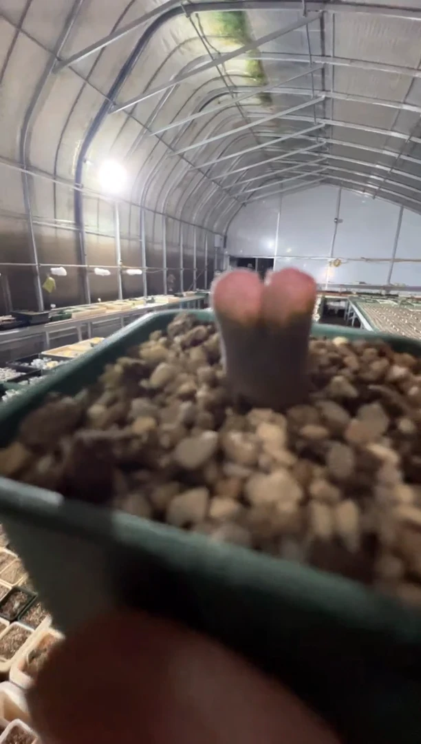 141.....................