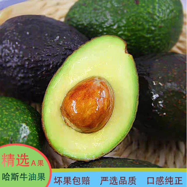 【辅食鲜果】秘鲁哈斯牛油果新鲜辅食中果软糯绵密即食进口鳄梨水果