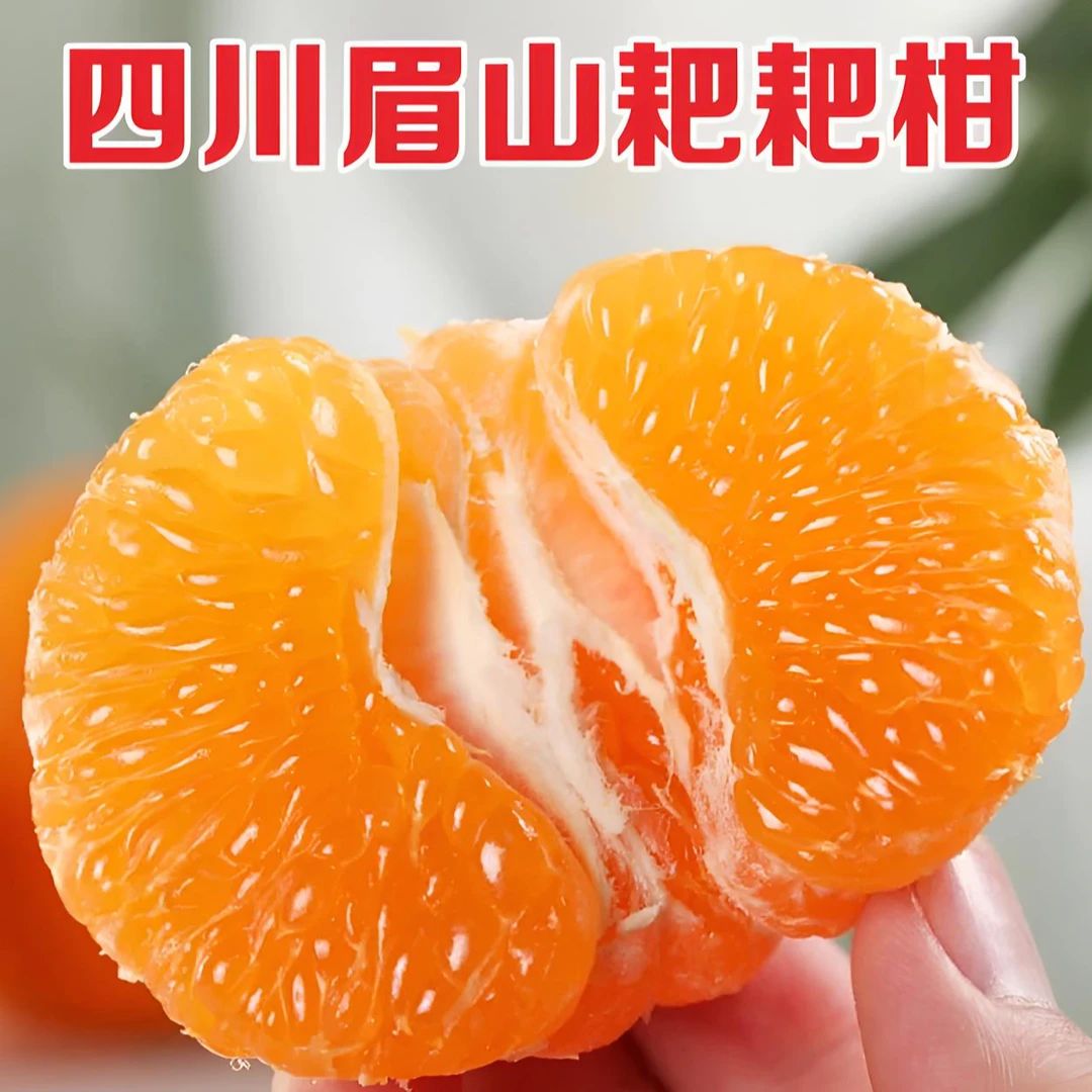 【头茬自然熟】正宗四川眉山春见耙耙柑新鲜应季水果现摘香甜爆汁