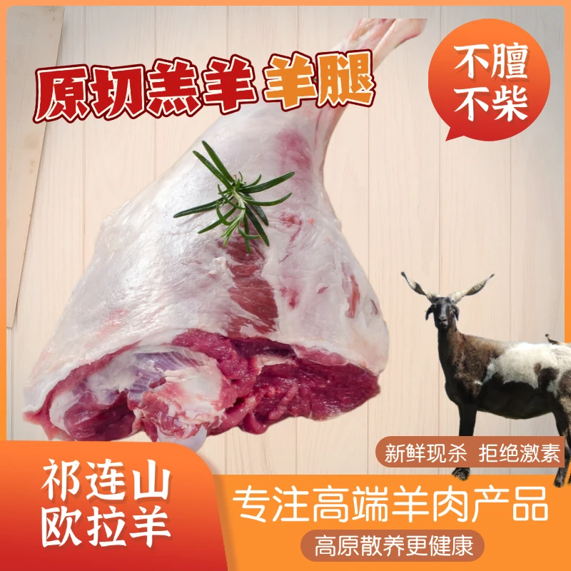 【羊腿肉】祁连山羊肉  散养跑地羊 藏欧拉羊 美味佳肴必备食材