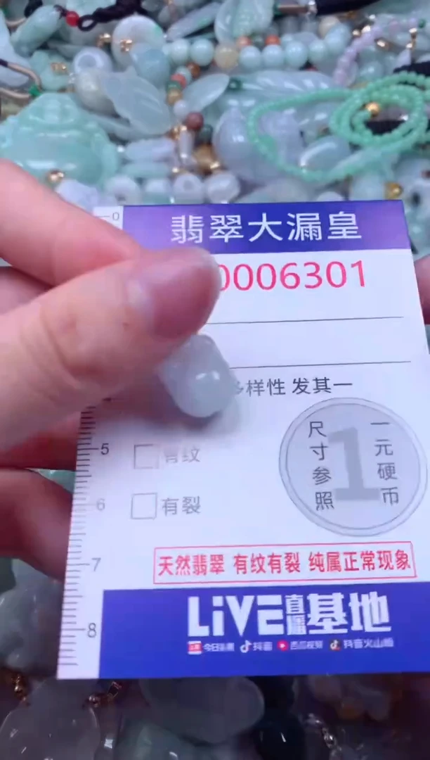 吊坠(不含链)未镶嵌翡翠6301