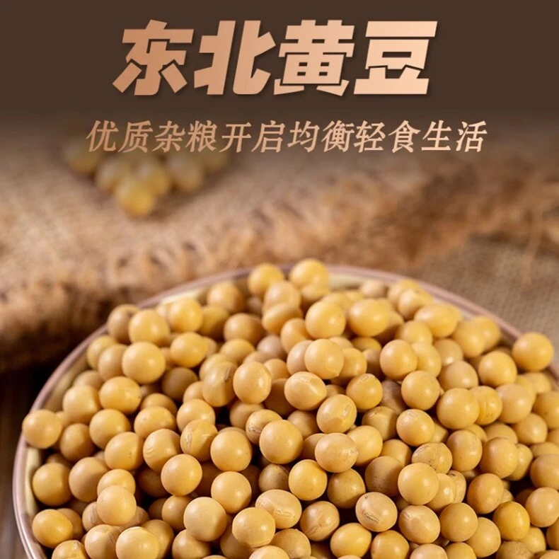 东北非转基因黄豆黄豆打豆浆大豆打豆浆生豆芽豆香浓郁新黄豆