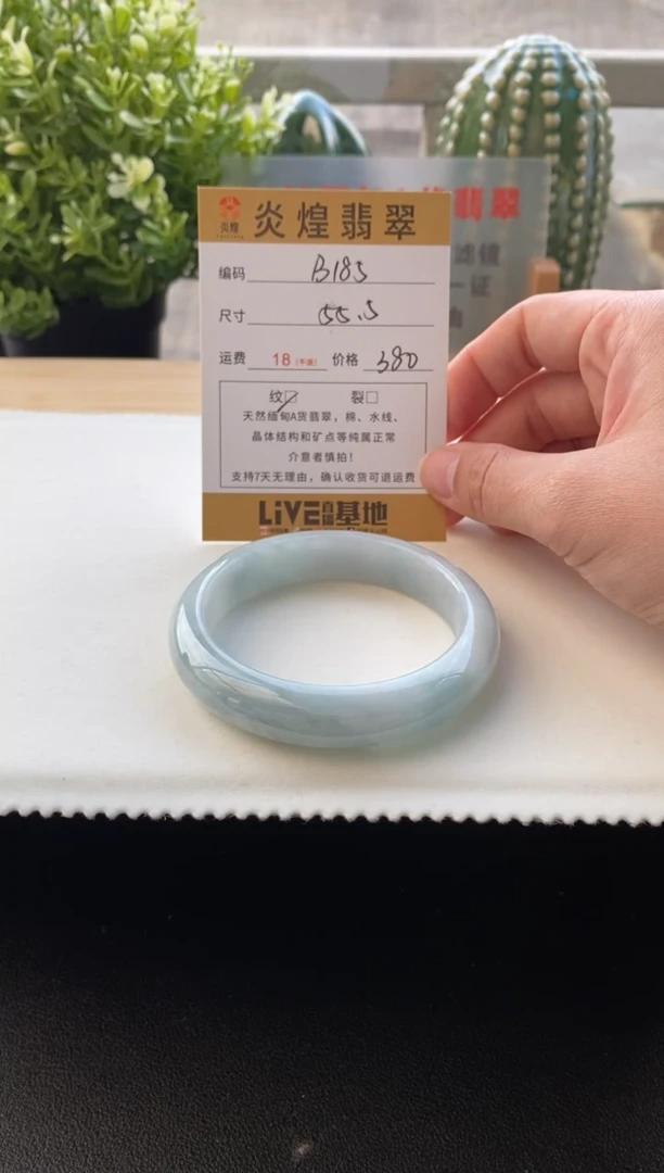 未镶嵌手镯翡翠55.8圈口编码B185