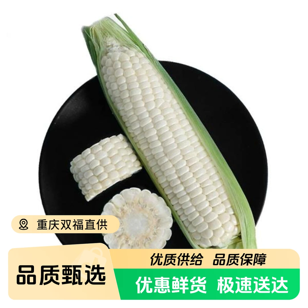 【助农专用 仙女山鲜玉米】新鲜白糯玉米软糯香甜 蒸煮早餐 正宗粗粮重庆市