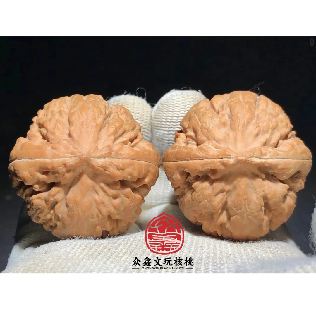 市带链接--霸王龙核桃38左右尺寸（全品）