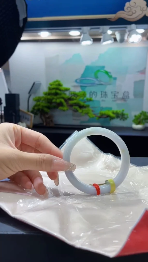 未镶嵌手镯翡翠9