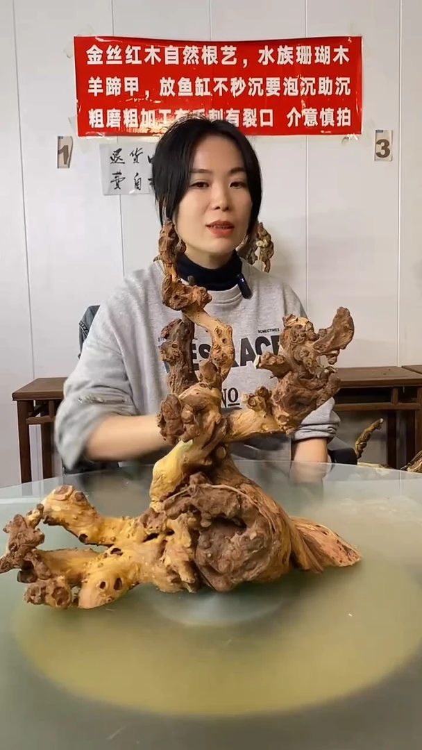 木大**东金丝红木  羊蹄甲