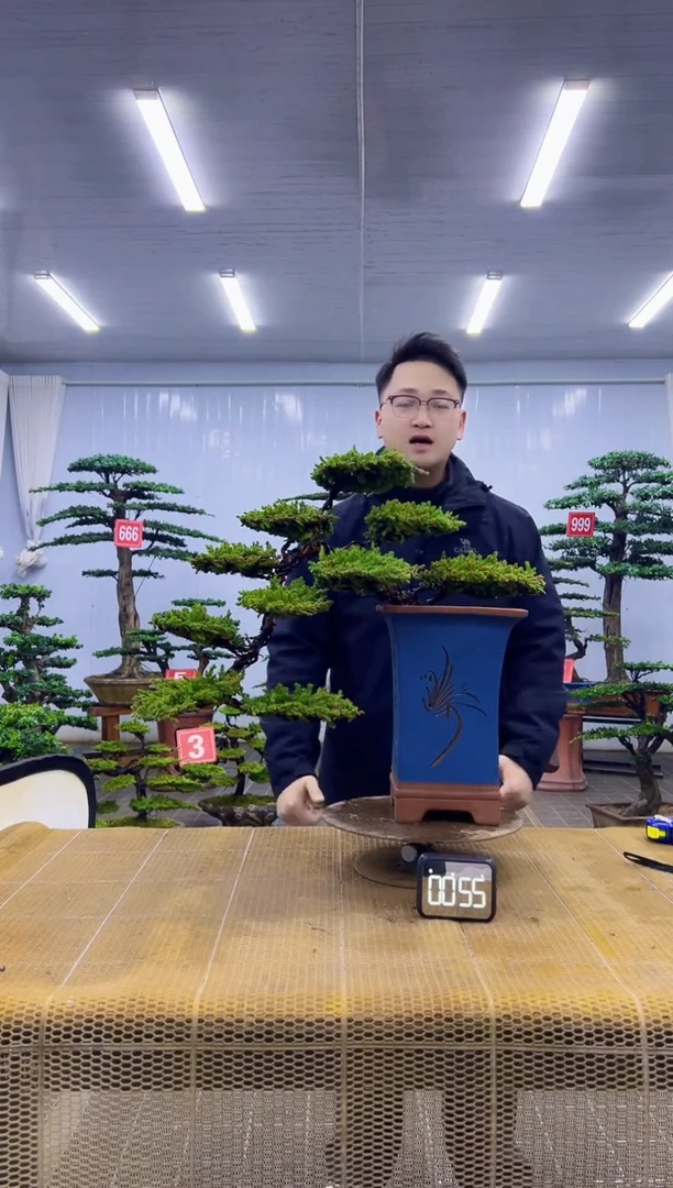 无花朵000000000000000