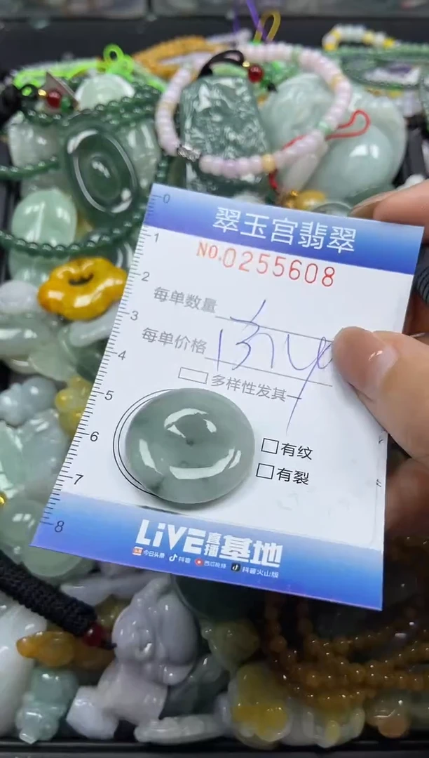 颈饰未镶嵌翡翠闪购C0255608