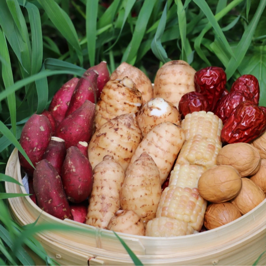 【宝玉活动福利】新鲜特级中果天麻送礼佳品